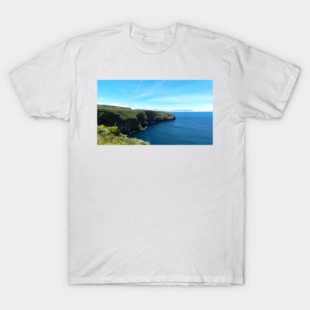 Channel Islands National Park Santa Cruz Island T-Shirt by supernova23